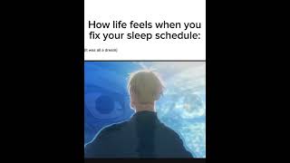 how life feels when you fix your sleep schedule song name Duvet by boa [upl. by Eddie424]