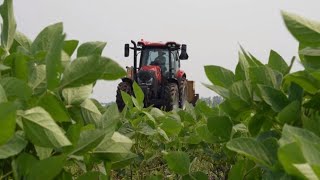 Agriculture  le Canada se tourne vers lédition génomique des semences • FRANCE 24 [upl. by Archie]