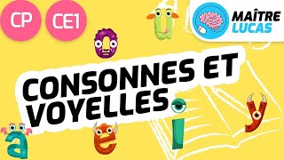 Les consonnes et les voyelles CP  CE1  Cycle 2  Français  Lecture  FLE [upl. by Essam76]