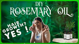 DIY Rosemary oil amp water for hair growth in tamil 🎀👱‍♀️tamil [upl. by Ettezil]