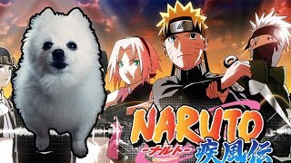 NARUTO SHIPPUUDEN  HEROS COME BACK em CACHORRÊS [upl. by Knepper]