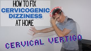 How to Get Rid of Cervicogenic Dizziness  Cervical Dizziness Exercises  Dr Jon Saunders [upl. by Jenny]