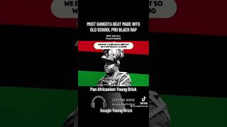 Pan Africanism Young Drick verse 2 [upl. by Sileray]