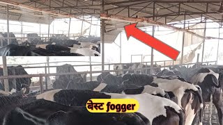 बड़े काम की चीज है ये। Fogger system in dairy farm  India farming management [upl. by Eboh583]