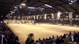 Centrale Merriekeuring 2013 Genieten van het Friese paard [upl. by Trinity513]