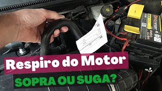 Mangueira de Ventilação do Fiesta Zetec Rocam Qual o Correto Sugar ou Soprar [upl. by Naniac]