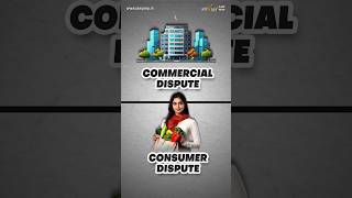 Consumer Disputes vs Commercial Disputes Understanding the Key Differences [upl. by Enyak]