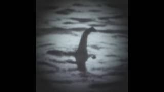 quotThe Beast Of Lochnessquot  Nessie Edit lochnessmonster nessie beast [upl. by Jilli755]