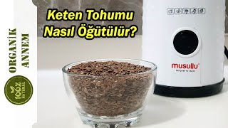 KETEN TOHUMU NASIL ÖĞÜTÜLÜR  KETEN TOHUMU FAYDALARI NELERDİR [upl. by Entwistle]