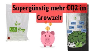 Günstiges CO2 System für die Growbox – So funktioniert‘s [upl. by Buna367]