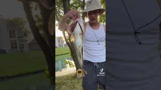 fishline bassfishing spottedbass fish fishing fishingisacontactsport sportfishing outdoors [upl. by Ardnovahs]