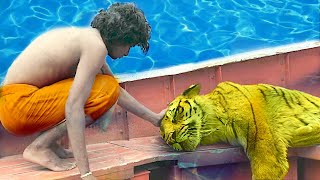 Life of Pi 2012 Movie Explained in HindiUrdu  Life Of Pi Full Summarized हिन्दी [upl. by Hajin]