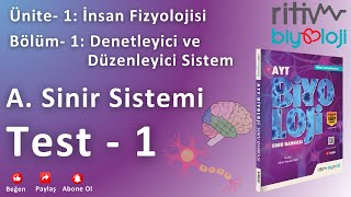 Test – 1 – Nöron Yapısı ve Çeşitleri [upl. by Leirea652]