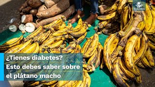 Descubre los beneficios de consumir plátano macho [upl. by Litha]