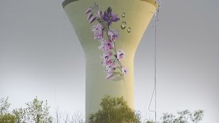 Fresque et réalisation acrobatique sur le château deau du PUY des Ages [upl. by Kilgore641]