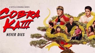 Cobra Kai Season 3 Review [upl. by Shayna]