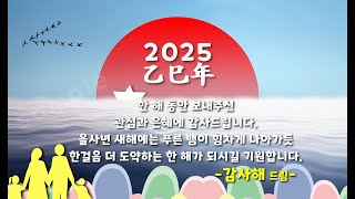 2025 을사년 연하장 Ver07  연말연시 소중한 분들에게 연하장을 보내세요 [upl. by Eslek312]