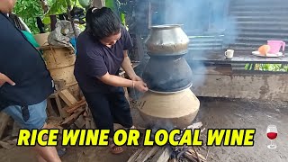 local wine  how to make local wine  village light  rice wine 🍷 home made wine  ara  rokshi [upl. by Kenton]