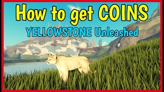 How to get COINS Fast in YELLOWSTONE UNLEASHED Roblox [upl. by Siramed]