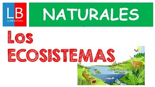 Los ECOSISTEMAS para niños ✔👩‍🏫 PRIMARIA [upl. by Anrim671]