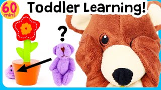 Toddler toys Learning  Hide amp Seek  more Learning videos for Babies 2 year old 3 amp 4 year olds [upl. by Adelpho]