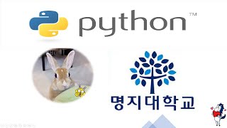 파이썬 변수와 입출력문 실습 파이썬 python 명지대 [upl. by Irrej]