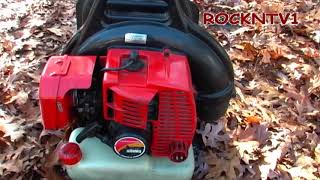 BACKPACK LEAF BLOWER Shindaiwa eb802 Blowing leaves [upl. by Nonna]