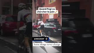 😂🥖Quand Pogi va chercher le pain shorts cycling [upl. by Ylebmik]