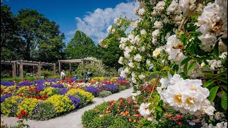 egapark Erfurt  Park Blütenmeer und Erlebniswelt – mitten im Herzen Thüringens [upl. by Yesmar799]