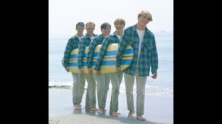 The Beach Boys  Caroline No slowed  reverb [upl. by Ahsitram]