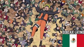 Naruto es Recibido como El Héroe de Konoha Doblaje Latino Naruto Shippuden [upl. by Bonnibelle44]