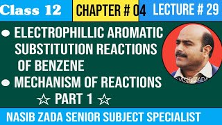 Electrophillic Aromatic Substitution Reactions Of Benzene Chemistry class PASHTONASIBZADASSS [upl. by Syd]