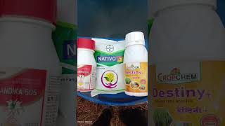 Nativo fungicide combination with destiny amp chandika insecticide  farming nativo agriculture [upl. by Bevis]