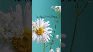 What is Floriculture Flowers  Floriculture science shortsfeed [upl. by Alesandrini540]