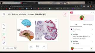 Telencephalon amp Diencephalon  Cerebral Cortex  lobs [upl. by Alesig]