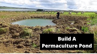 How to build a permaculture pond without a liner [upl. by Atinek]