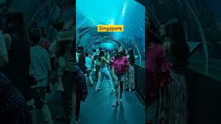 Exploring Singapore 2024 travel singapore singaporetourism travelcouple [upl. by Dworman]