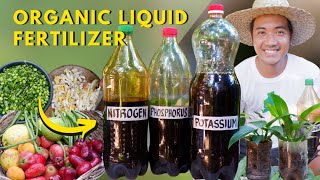 Creating Fermented Complete Organic Fertilizer  NitrogenPhosphorusPotassium  Super Easy [upl. by Isidora392]