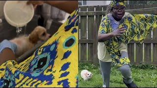 African Mum Gets A Dog [upl. by Obeded414]