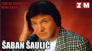 Saban Saulic  Njeno velicanstvo zena  Audio 1998 [upl. by Anauqes7]