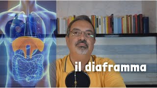 3 RILASSAMENTO e RESPIRAZIONE  il lavoro del DIAFRAMMA [upl. by Phyl]