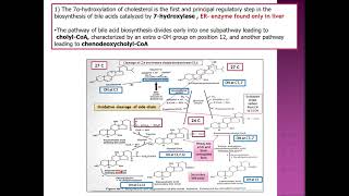 BILE ACIDS AND BILE SALTS [upl. by Eram]