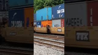 A caboose appears after a train went by [upl. by Nnorahs768]