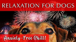 Relaxing Music for Dogs to Calm Down  GREAT FOR FIREWORKS [upl. by Merle]