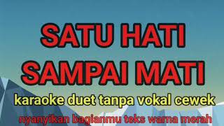 Satu hati sampai mati karaoke duet [upl. by Karine646]