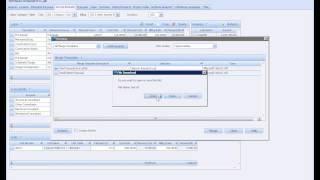 CCG  Deltek Vision CRM Demo [upl. by Lindon]