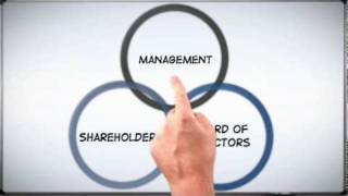 Corp 101 The Basics of Corporate Structure [upl. by Oleta]