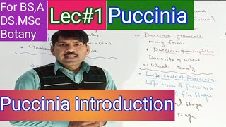 Introduction to puccinia [upl. by Meit]