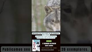 ebook grátis O CHAMADO SELVAGEM Jack London foryou historia ebookgratuito [upl. by Enylcaj]