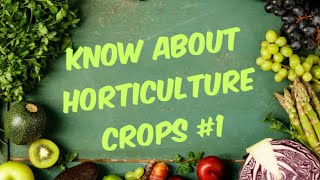 Know about Horticultural crops👍👍👍👍 [upl. by Nashner]